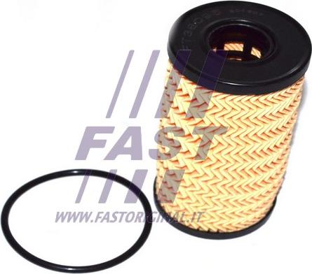 Fast FT38095 - Yağ filtresi www.parts5.com