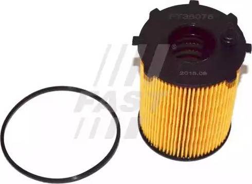 Fast FT38075 - Filtr oleju www.parts5.com