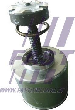 Fast FT32290 - Piston, brake caliper www.parts5.com