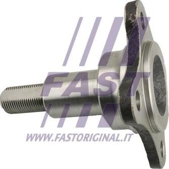 Fast FT23200 - Kingpin, axle beam www.parts5.com