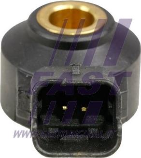 Fast FT75585 - Czujnik spalania stukowego www.parts5.com