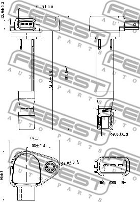 Febest 03640-004 - Ignition Coil www.parts5.com