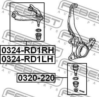 Febest 0324-RD1RH - Barra oscilante, suspensión de ruedas www.parts5.com