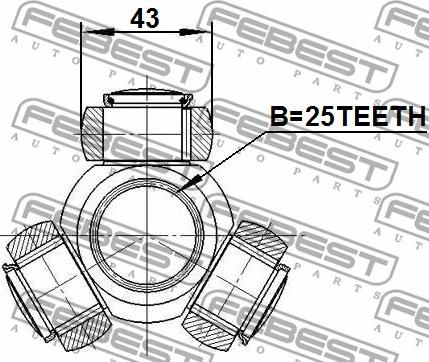 Febest 0216-V10M - Tripod Hub, drive shaft www.parts5.com