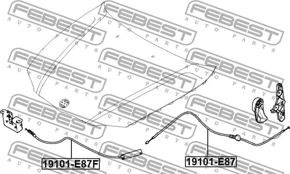 Febest 19101-E87 - Cablu, capota motor www.parts5.com