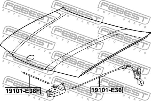 Febest 19101-E36F - Lanko pro otevírání kapoty motoru www.parts5.com