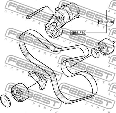 Febest 1987-F80 - Polea inversión / guía, correa poli V www.parts5.com