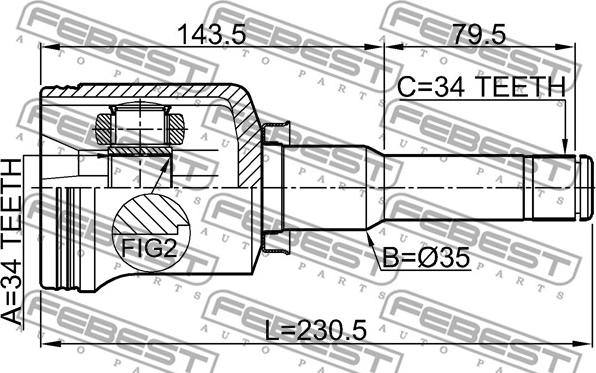 Febest 1811-ANTLH - Set articulatie, planetara www.parts5.com