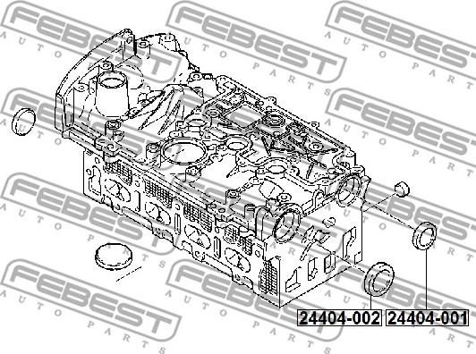 Febest 24404-002 - Dop, gaura de montaj ax culbutori www.parts5.com