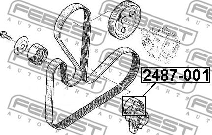 Febest 2487-001 - Preusmerjevalni valj / vodilni valj, rebrasti jermen www.parts5.com