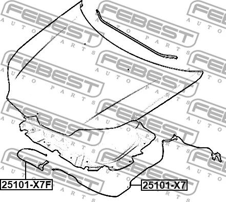 Febest 25101-X7F - Lanko pre otváranie kapoty motora www.parts5.com