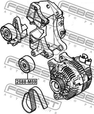 Febest 2588-M59 - Rola ghidare / conducere, curea transmisie www.parts5.com