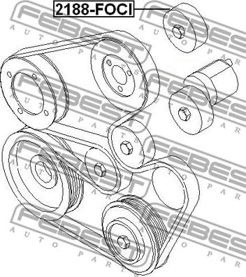 Febest 2188-FOCI - Rola ghidare / conducere, curea transmisie www.parts5.com