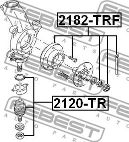 Febest 2120-TR - Ball Joint parts5.com