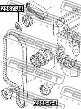 Febest 2388-G4 - Seade / juhtrull,hammasrihm www.parts5.com