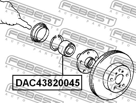 Febest DAC43820045 - Wheel Bearing www.parts5.com