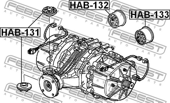 Febest HAB-131 - Mounting, differential www.parts5.com