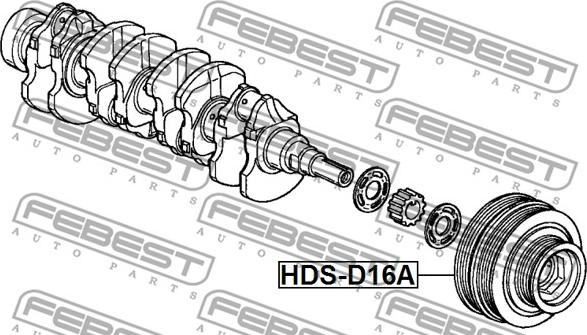 Febest HDS-D16A - Poulie, vilebrequin www.parts5.com