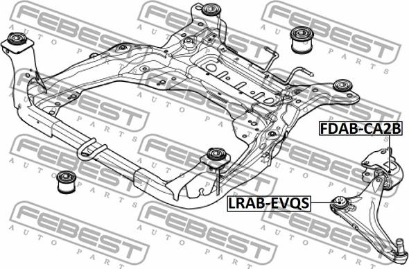 Febest LRAB-EVQS - Bush of Control / Trailing Arm www.parts5.com