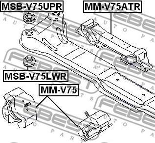 Febest MSB-V75LWR - Mounting, axle beam www.parts5.com