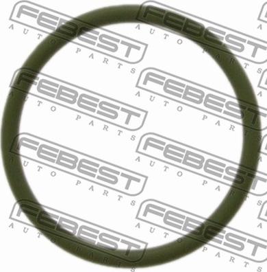 Febest RINGAH-B5 - Těsnění, vedení AGR ventilu www.parts5.com