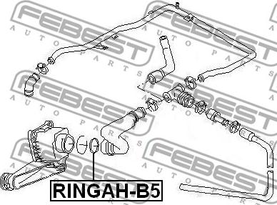 Febest RINGAH-B5 - Junta, conducto válvula EGR www.parts5.com