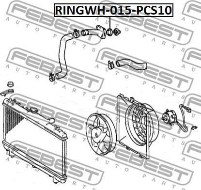 Febest RINGWH-015-PCS10 - Gasket, coolant flange www.parts5.com