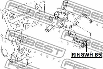 Febest RINGWH-B5 - Dichtung, Kühlmittelflansch www.parts5.com