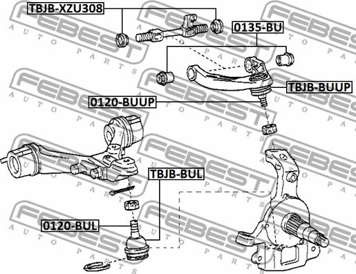 Febest TBJB-XZU308 - Repair Kit, steering knuckle www.parts5.com