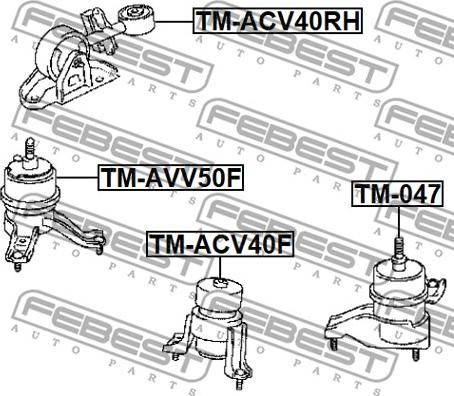 Febest TM-AVV50F - Soporte, motor www.parts5.com