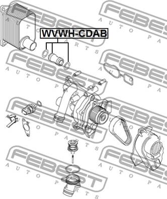 Febest VWWH-CDAB - Radiator Hose www.parts5.com