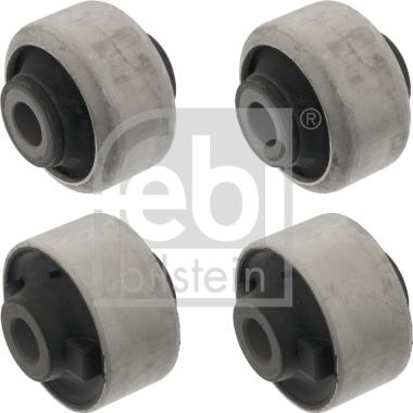 Febi Bilstein 48618 - Yataklama, Bugi kolu www.parts5.com