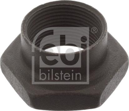 Febi Bilstein 02229 - Nut, stub axle parts5.com
