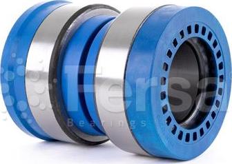 Fersa Bearings F 200015 - Juego de cojinete de rueda www.parts5.com