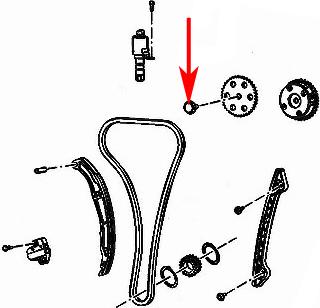 FORD 1342409 - Chit lant de distributie www.parts5.com