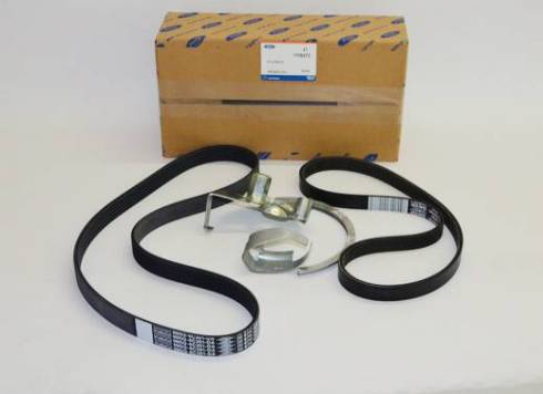 FORD 1708273 - V-Ribbed Belt www.parts5.com