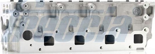 Freccia CH17-1007 - Cylinder Head www.parts5.com