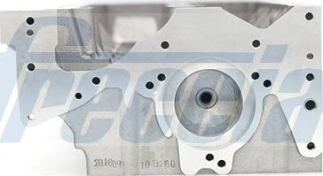 Freccia CH17-1016 - Cylinder Head www.parts5.com