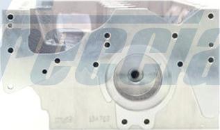 Freccia CH17-1017 - Cylinder Head www.parts5.com