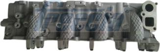 Freccia CH17-1036 - Cylinder Head www.parts5.com