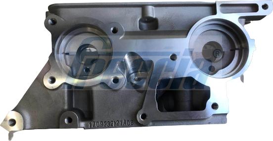 Freccia CH17-1037 - Cylinder Head www.parts5.com