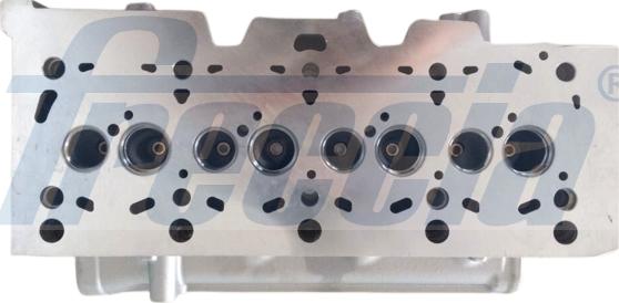 Freccia CH17-1022 - Cylinder Head www.parts5.com