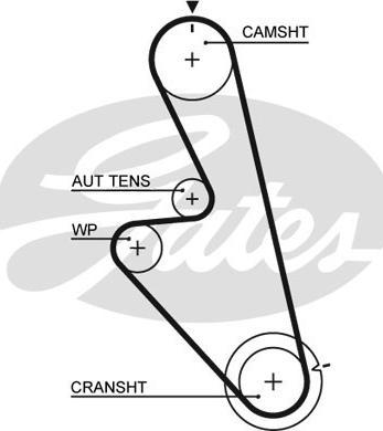 Gates 5449 - Timing Belt www.parts5.com