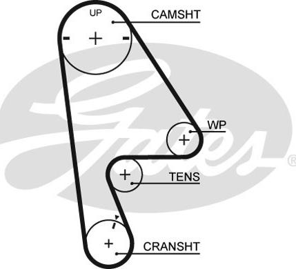 Gates 5409XS - Ангренажен ремък www.parts5.com