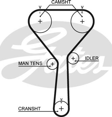 Gates 5487XS - Timing Belt www.parts5.com