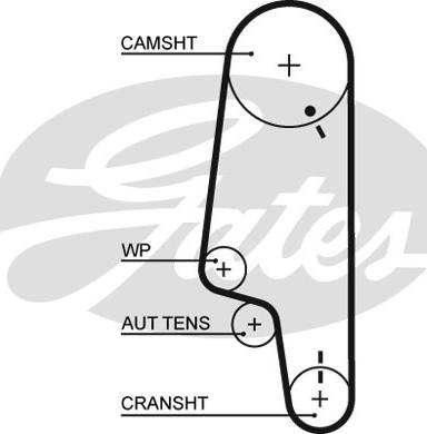 Gates 5428XS - Zahnriemen www.parts5.com