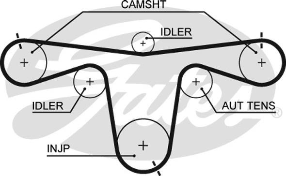 Gates 5594XS - Timing Belt www.parts5.com