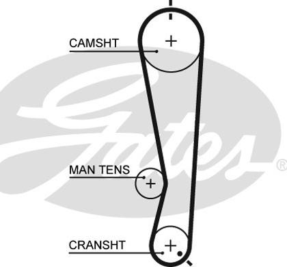 Gates 5591XS - Timing Belt www.parts5.com