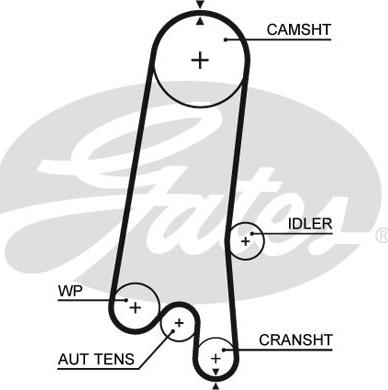 Gates 5597XS - Timing Belt www.parts5.com