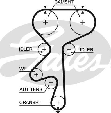 Gates 5542XS - Timing Belt parts5.com